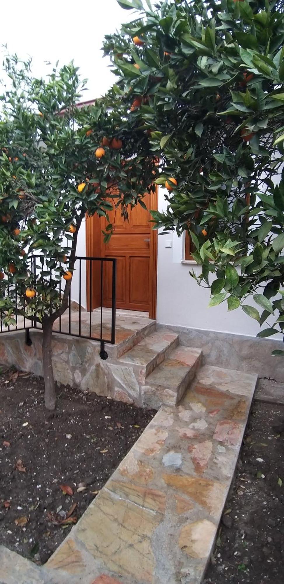 Lindos Pension داليان المظهر الخارجي الصورة